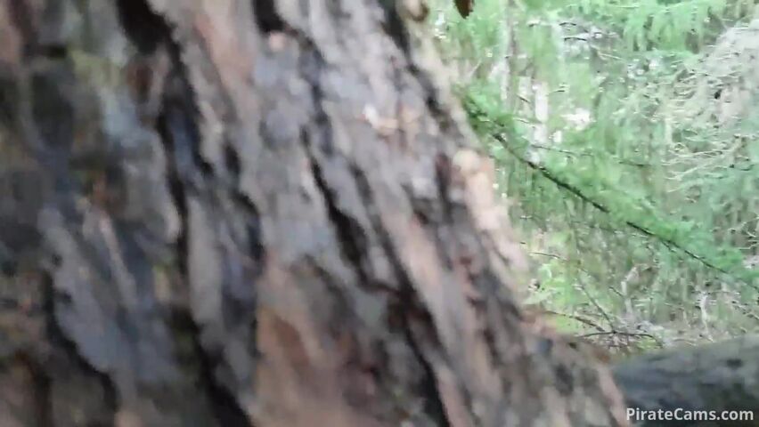 Bae fucks me in the woods amateur nude porn video