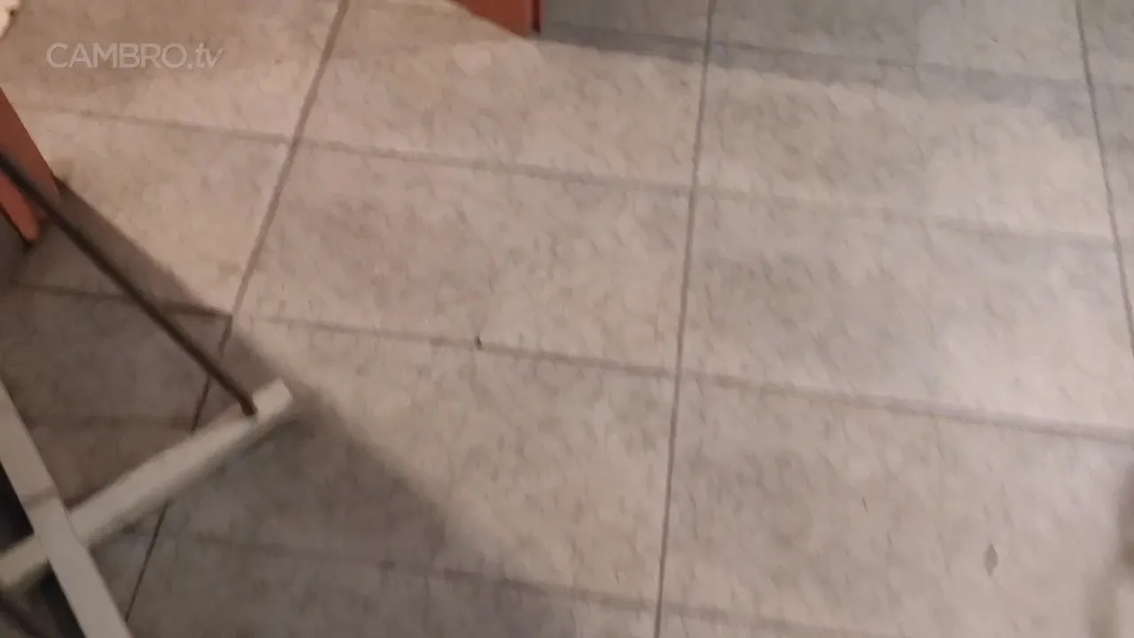 Insanity370 - Public Pee on Floor - Restaurant Toilet - CamStreams.tv